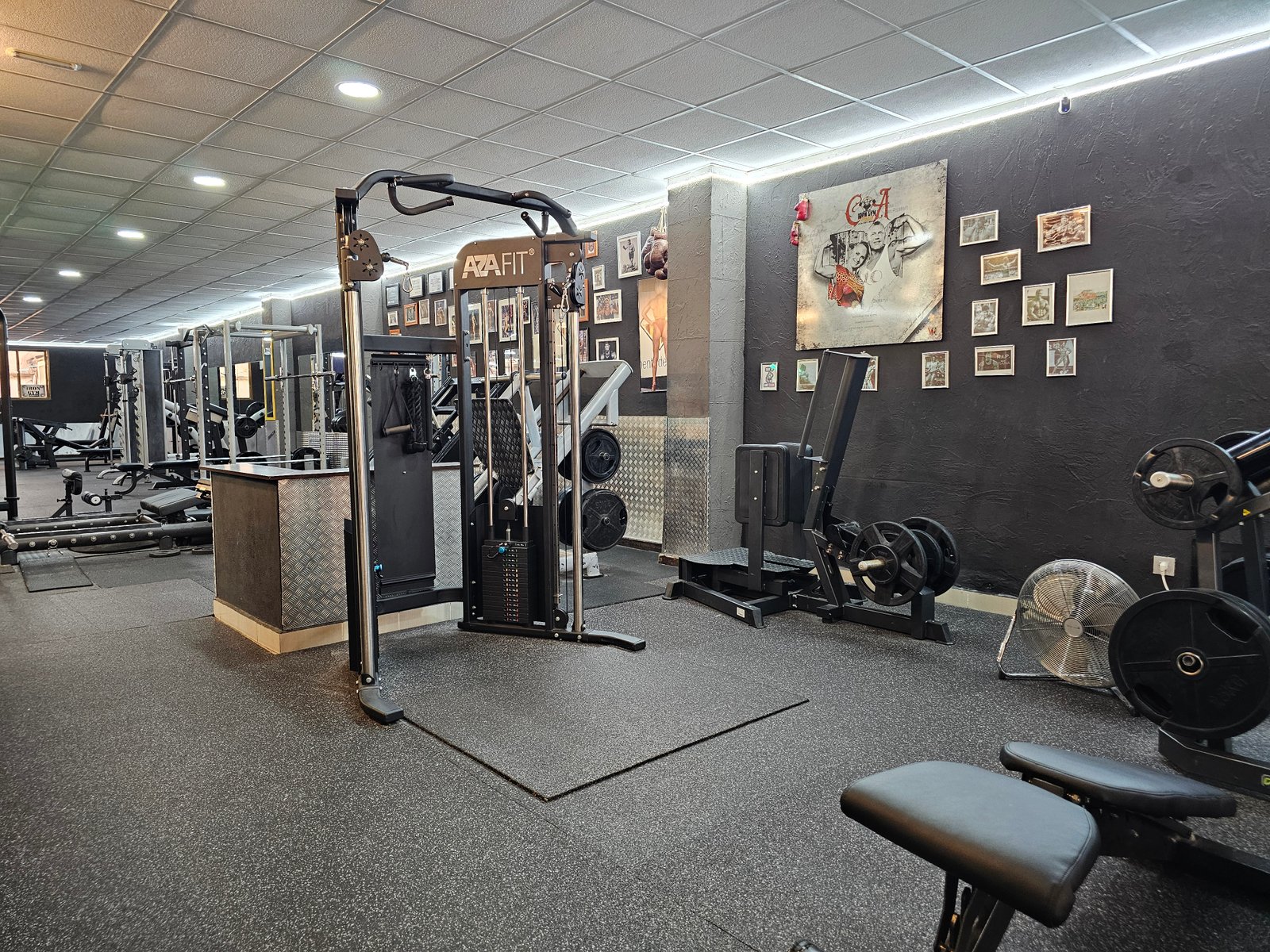 Iron Gym Arenal — Equipamiento