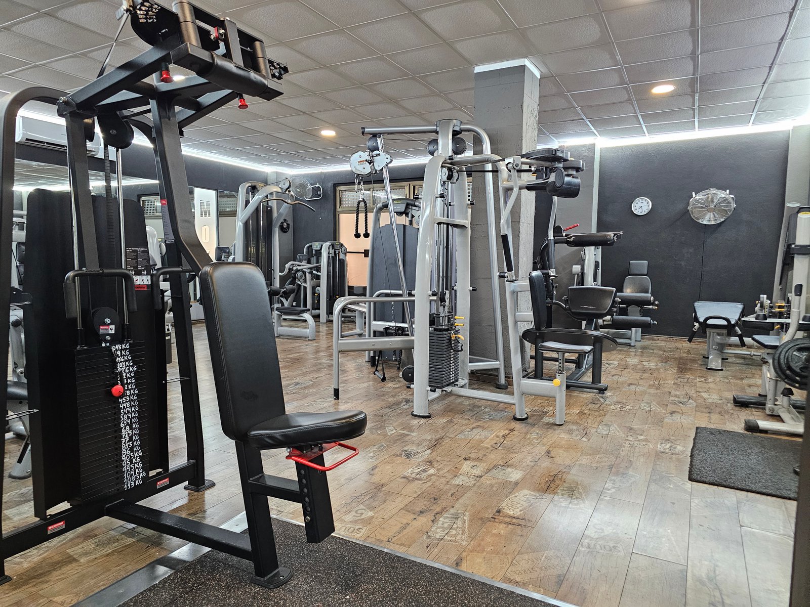 Iron Gym Arenal — Zona libre